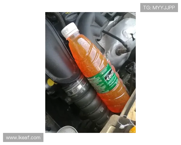 挖掘机副水箱液位检查